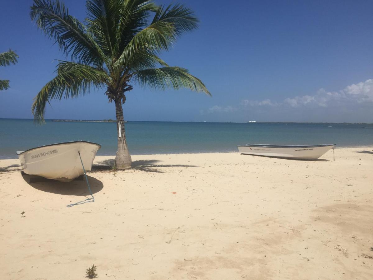 Villa Real Playa Nueva Romana Λα Ρομάνα Εξωτερικό φωτογραφία